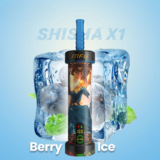 Shisha - Berry Ice Flavor