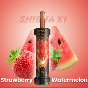 Shisha - Strawberry Watermelon Flavor