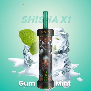 Shisha - Gum Mint Flavor